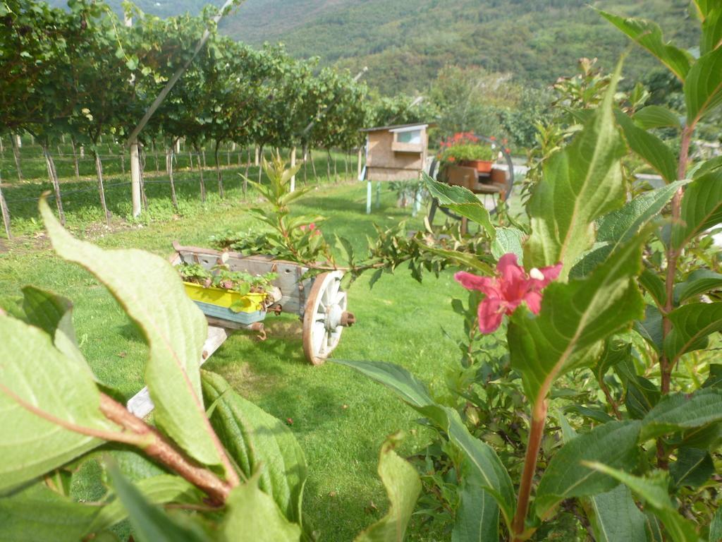 Villa Agritur Maso Fontane Arco Esterno foto